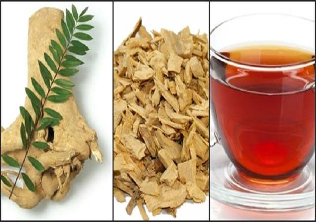 Nên Mua Rễ Mật Nhân ở đâu tại đồng nai