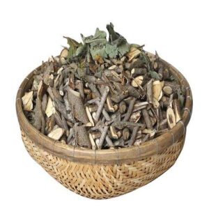 Cây An Xoa Khô-Đông Y Tấn Phát