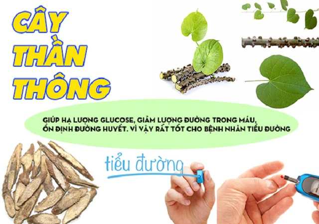 Công dụng của dây thần thông