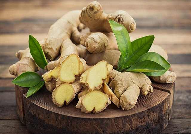 Giới thiệu về Gừng Sấy Khô-Đông Y Tấn Phát
