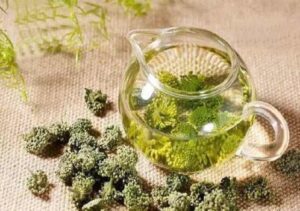 Bán Nụ Hoa Tam Thất Tại Bắc Ninh