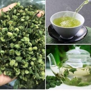 Bán Nụ Hoa Tam Thất Tại Tuyên Quang
