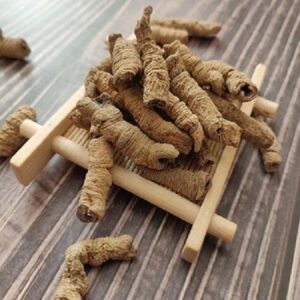 Bán Ba Kích Tím Tại Bắc Kạn