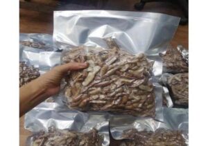Bán Ba Kích Tím Tại Ninh Thuận