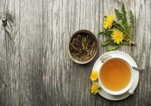 Bán Bồ Công Anh Tại Lai Châu