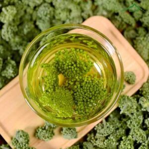 Bán Nụ Hoa Tam Thất Tại Yên Bái