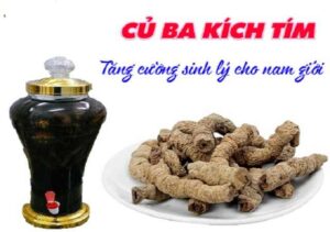Bán Ba Kích Tím Tại Kom Tum