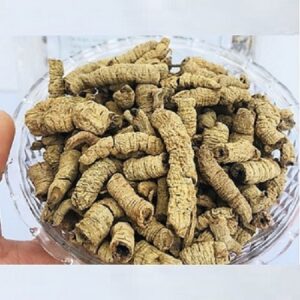 Bán Ba Kích Tím Tại Cao Bằng