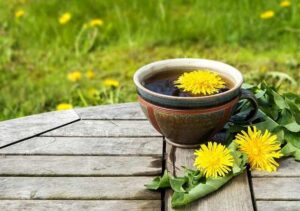 Bán Bồ Công Anh Tại Lạng Sơn