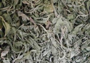 Bán Bồ Công Anh Tại Hòa Bình