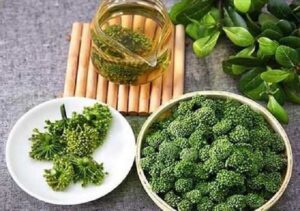 Bán Nụ Hoa Tam Thất Tại Thái Bình