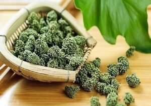 Bán Nụ Hoa Tam Thất Tại Hà Nam