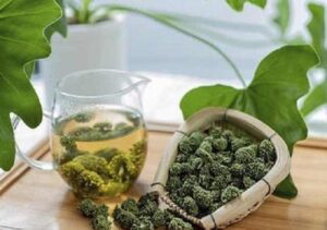 Bán Nụ Hoa Tam Thất Tại Quảng Ninh