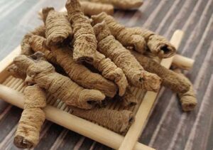 Bán Ba Kích Tím Tại Khánh Hòa
