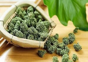 Bán Nụ Hoa Tam Thất Tại Hải Dương