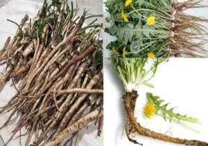 Bán Tinh Bột Nghệ Tại Ninh Bình