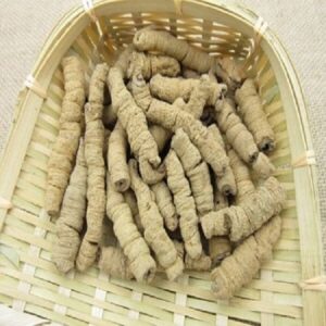 Bán Ba Kích Tím Tại Điện Biên