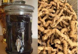 Bán Ba Kích Tím Tại Hà Tĩnh