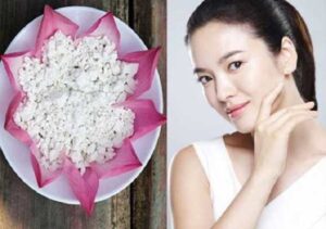 Địa Chỉ Bán Bột Sắn Dây Tại Bắc Kạn