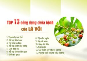 Bán Nụ Vối Tại Bình Định