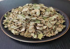 Bán Kim Tiền Thảo Tại Lai Châu