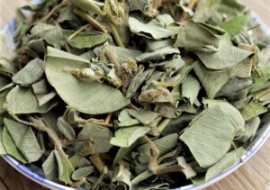 Bán Kim Tiền Thảo Tại Vĩnh Long