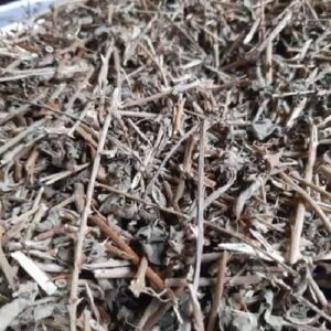 Mua Cà Gai Leo Tại Hưng Yên