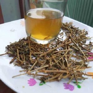 Mua Cà Gai Leo Ở Đâu Tại Sơn La Đông Y Tấn Phát