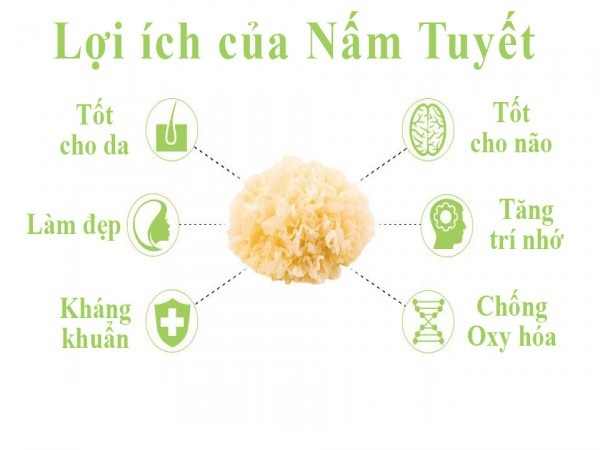 Công dụng của Nấm Tuyết Khô