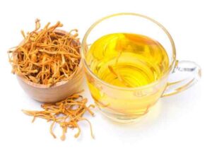 Công dụng của Đông Trùng Hạ Thảo