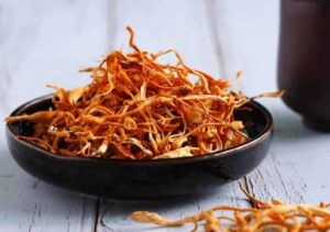 Mua Đông Trùng Hạ Thảo