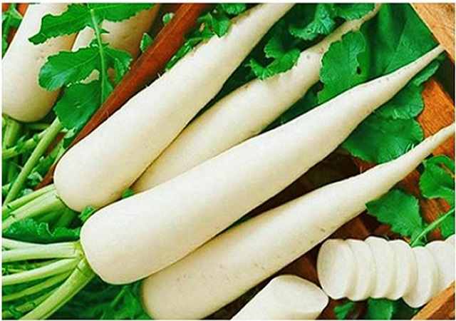 Giới thiệu về Củ Cải Trắng Sấy Khô