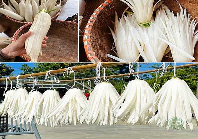 Củ Cải Trắng Sấy Khô Tại Đồng Nai
