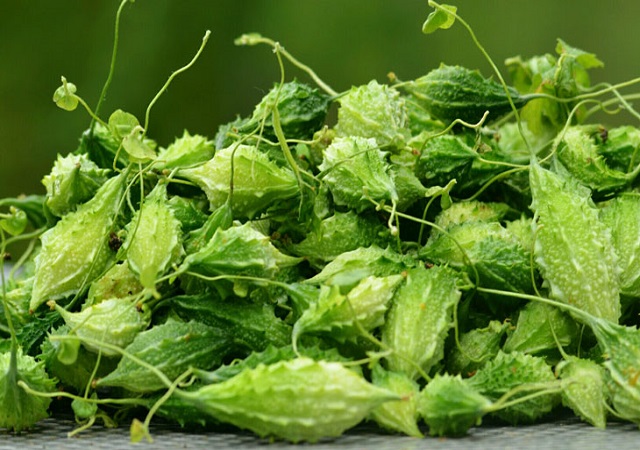 Bột Khổ Qua Rừng