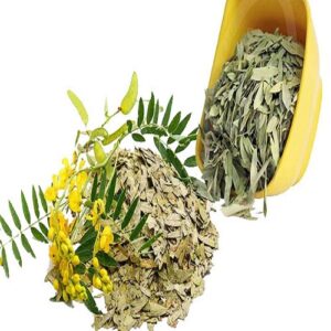 Phan Tả Diệp Khô