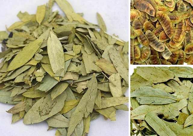 Phan Tả Diệp Sấy Khô