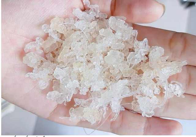 Tuyết Yến tại Biên Hoà