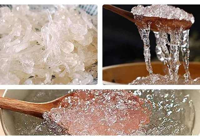 Tuyết Yến-Đông Y Tấn Phát