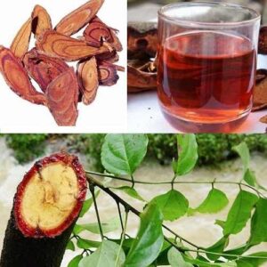Cây Cỏ Máu Khô