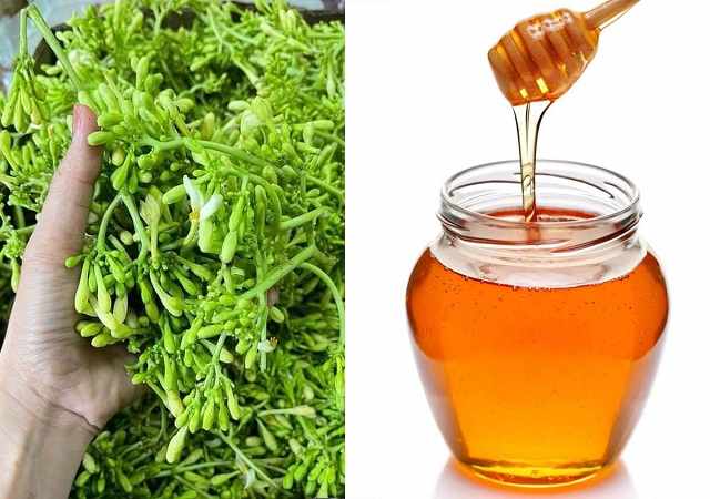 Mua Hoa Đu Đủ Đực Tươi
