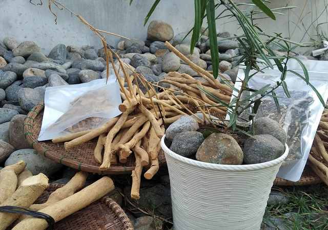 Rễ Xáo Tam Phân Khô