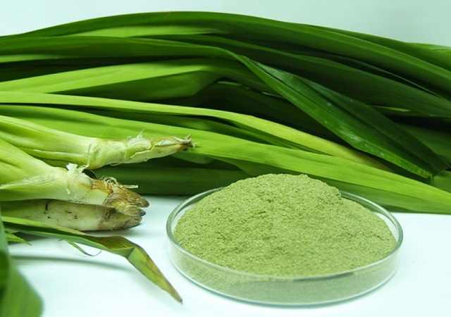 Bột Lá Dứa