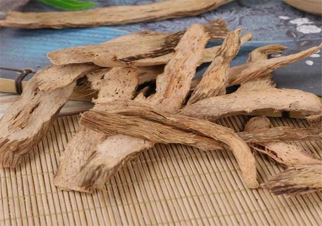 Thiên Niên Kiện
