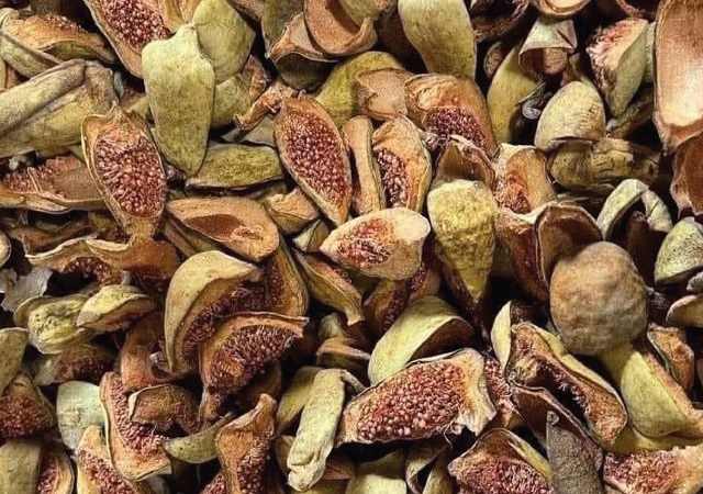 Quả trâu cổ khô
