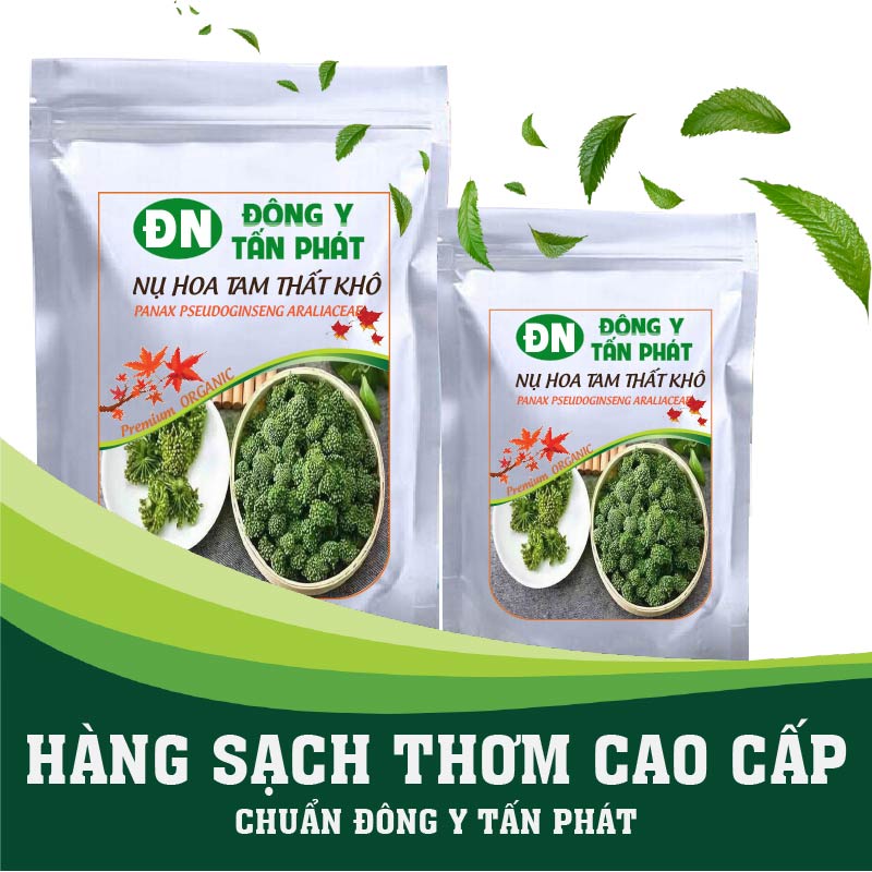 Nụ Hoa Tam Thất-Đông Y Tấn Phát