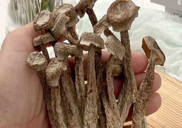 Nấm Lộc Nhung Khô