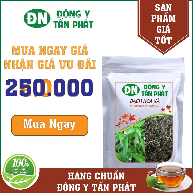 Bạch hoa xà thiệt thảo giá tốt