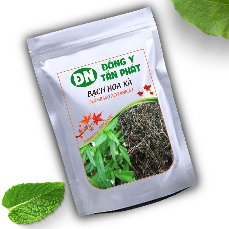 Công dụng của Bạch hoa xà thiệt thảo