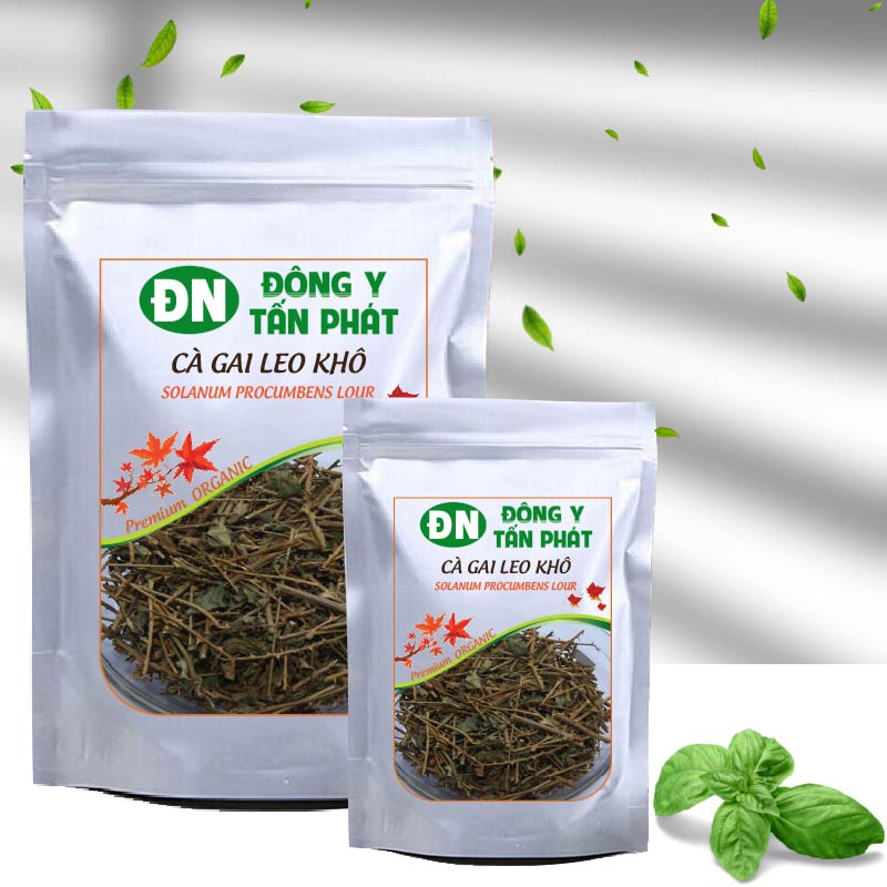 Cà gai leo khô tại Đồng Nai