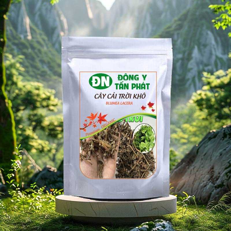 Hướng Dẫn Sử Dụng Cây Cải Trời
